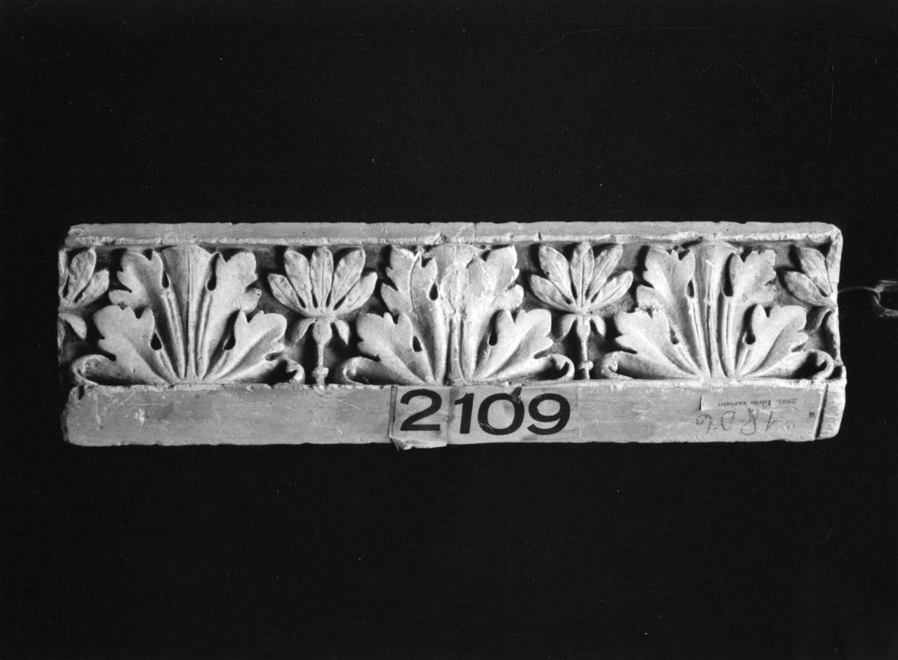 motivi decorativi a foglie di fico (calco, frammento) di Lelli Oronzio (bottega) (sec. XIX)