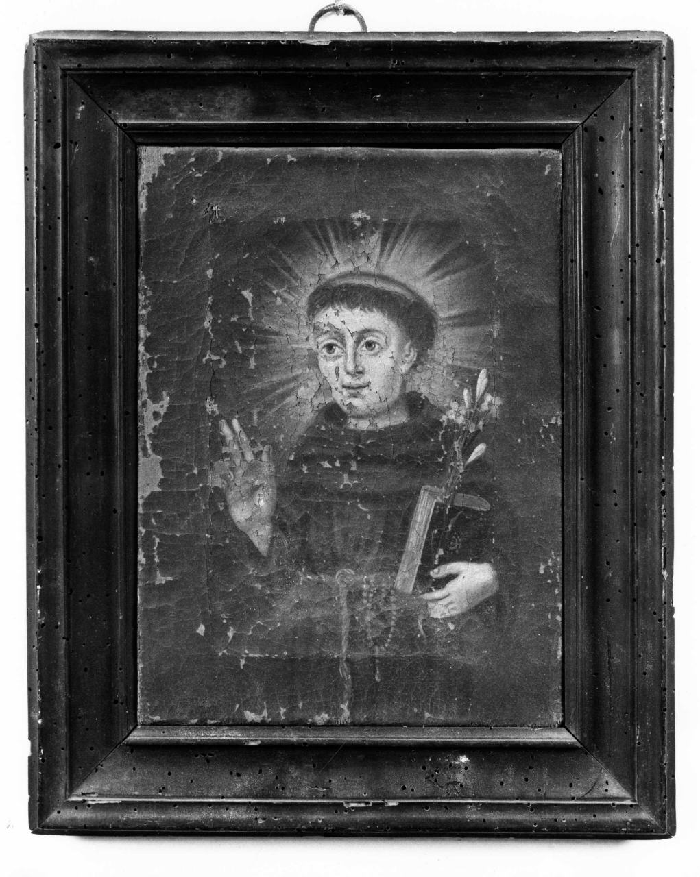 Sant'Antonio da Padova (dipinto) - ambito fiorentino (primo quarto sec. XVIII)