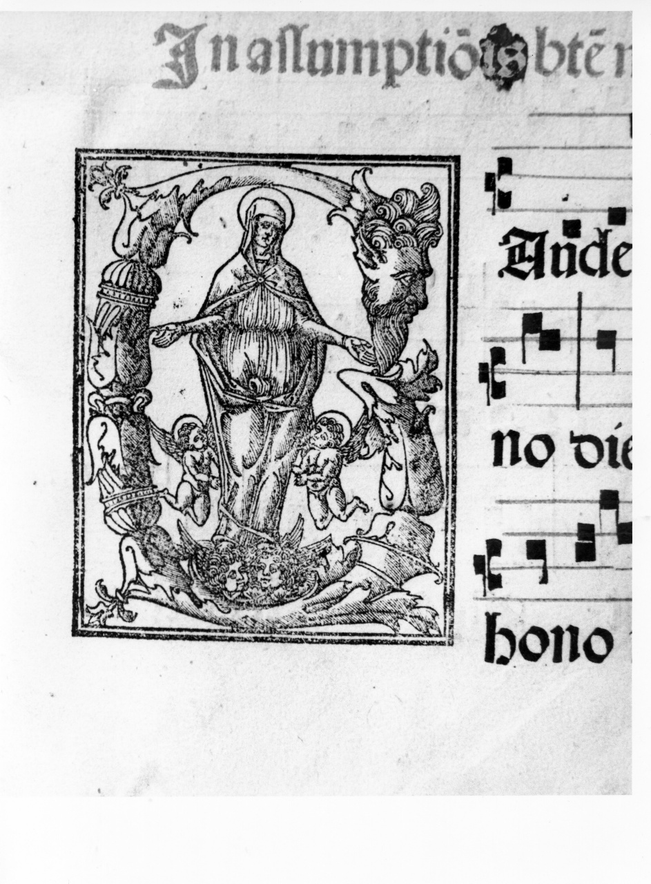 assunzione della Madonna (stampa) di Porri Pietro Paolo (sec. XVI)