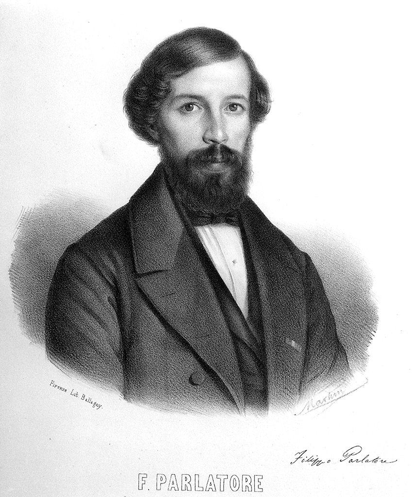 ritratto di Filippo Parlatore (stampa) di Martini (metà sec. XIX)