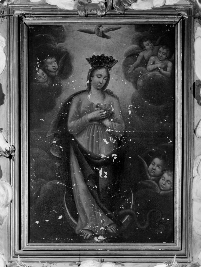 Immacolata Concezione (dipinto) di Feliciati Francesco (sec. XIX)