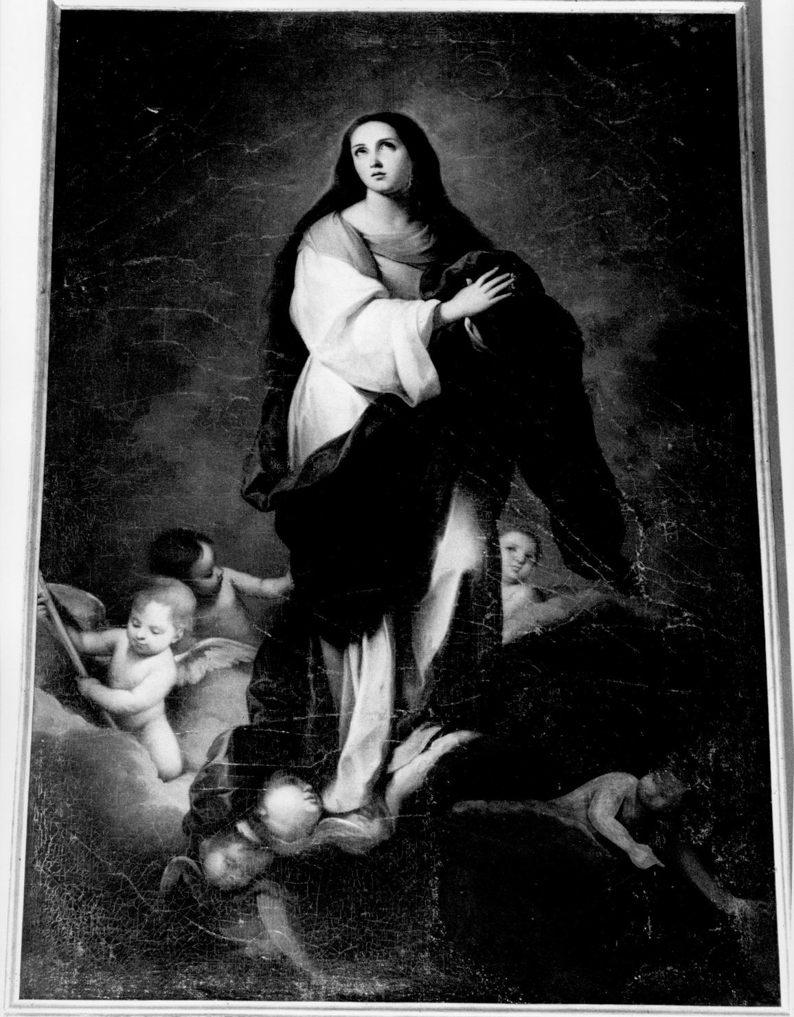 assunzione della Madonna (dipinto) di Nasini Giuseppe Nicola (fine sec. XVII)