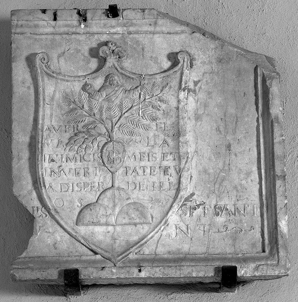 stemma (lapide) - bottega toscana (secc. XV/ XVI)
