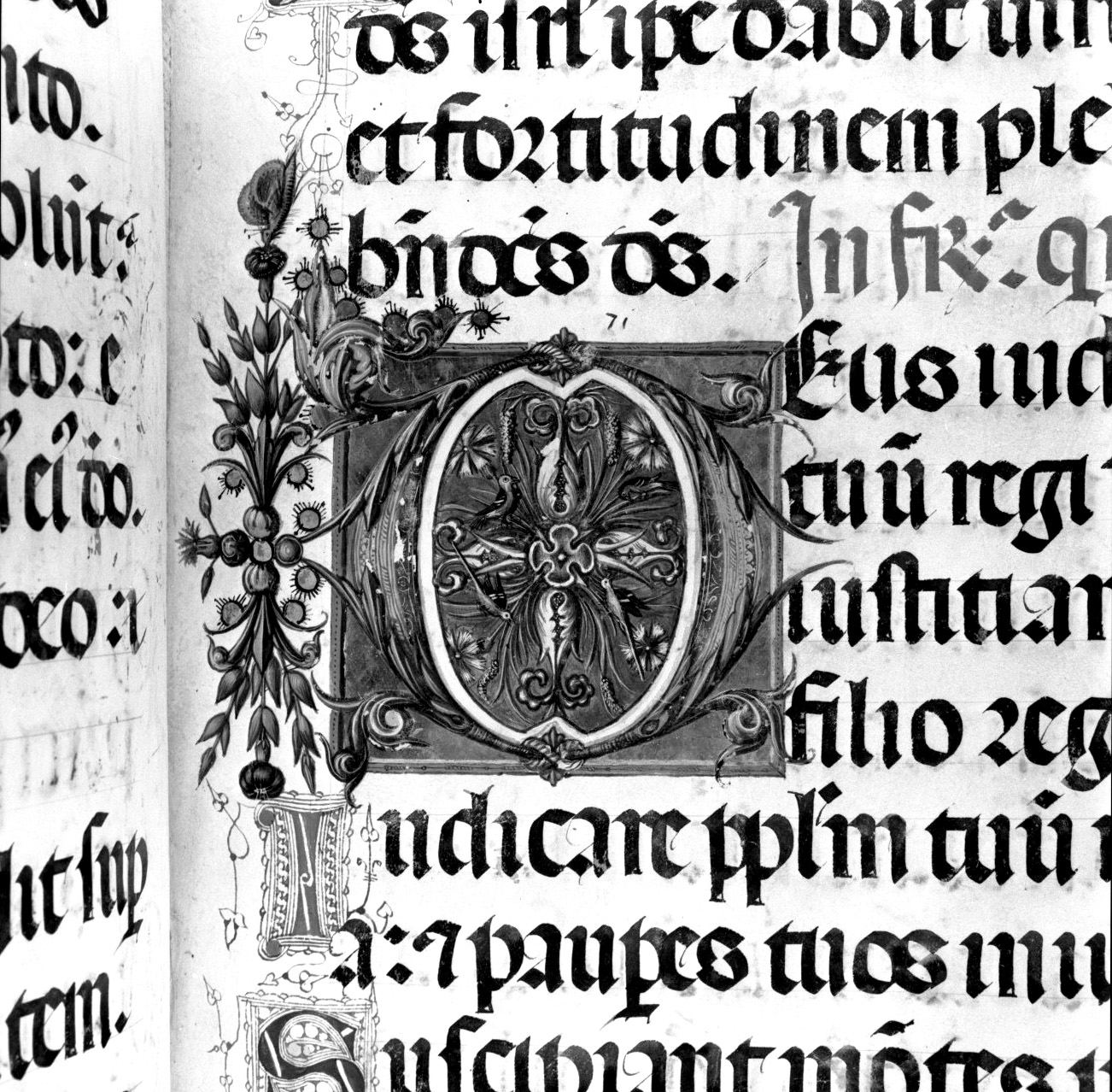 lettera vegetalizzata (miniatura, elemento d'insieme) di Matteo di Giovanni di Bartolo (attribuito) (sec. XV)