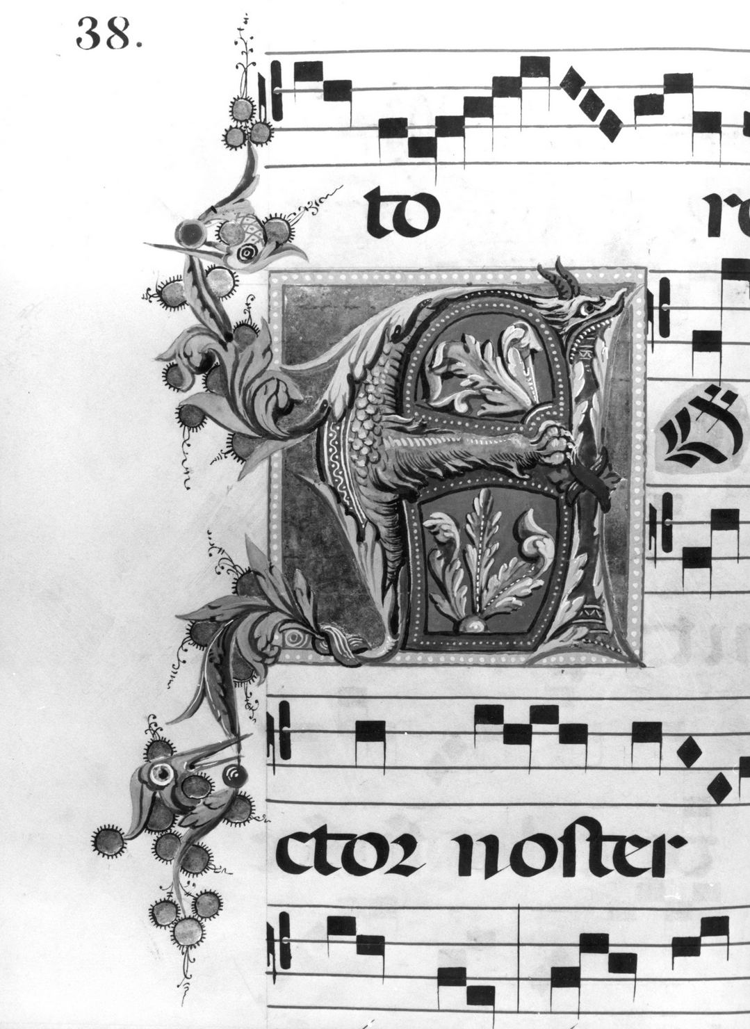 lettera vegetalizzata (miniatura) - ambito senese (secc. XV/ XIX)
