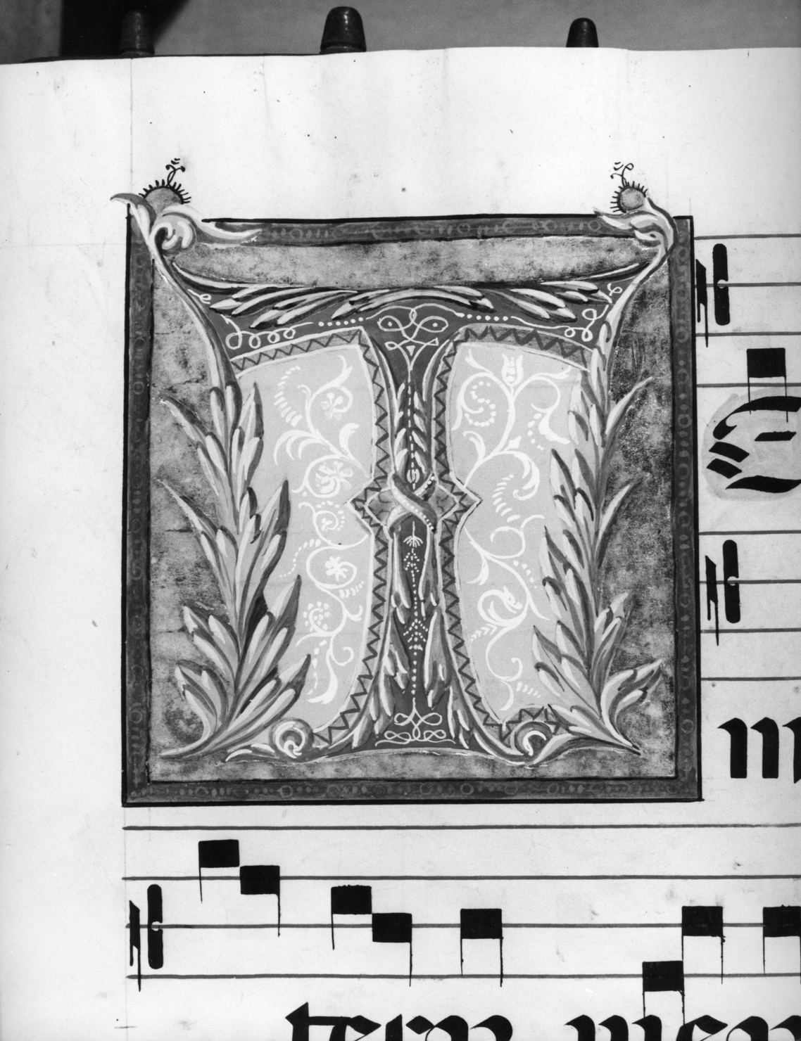 lettera vegetalizzata (miniatura) - ambito senese (secc. XV/ XIX)