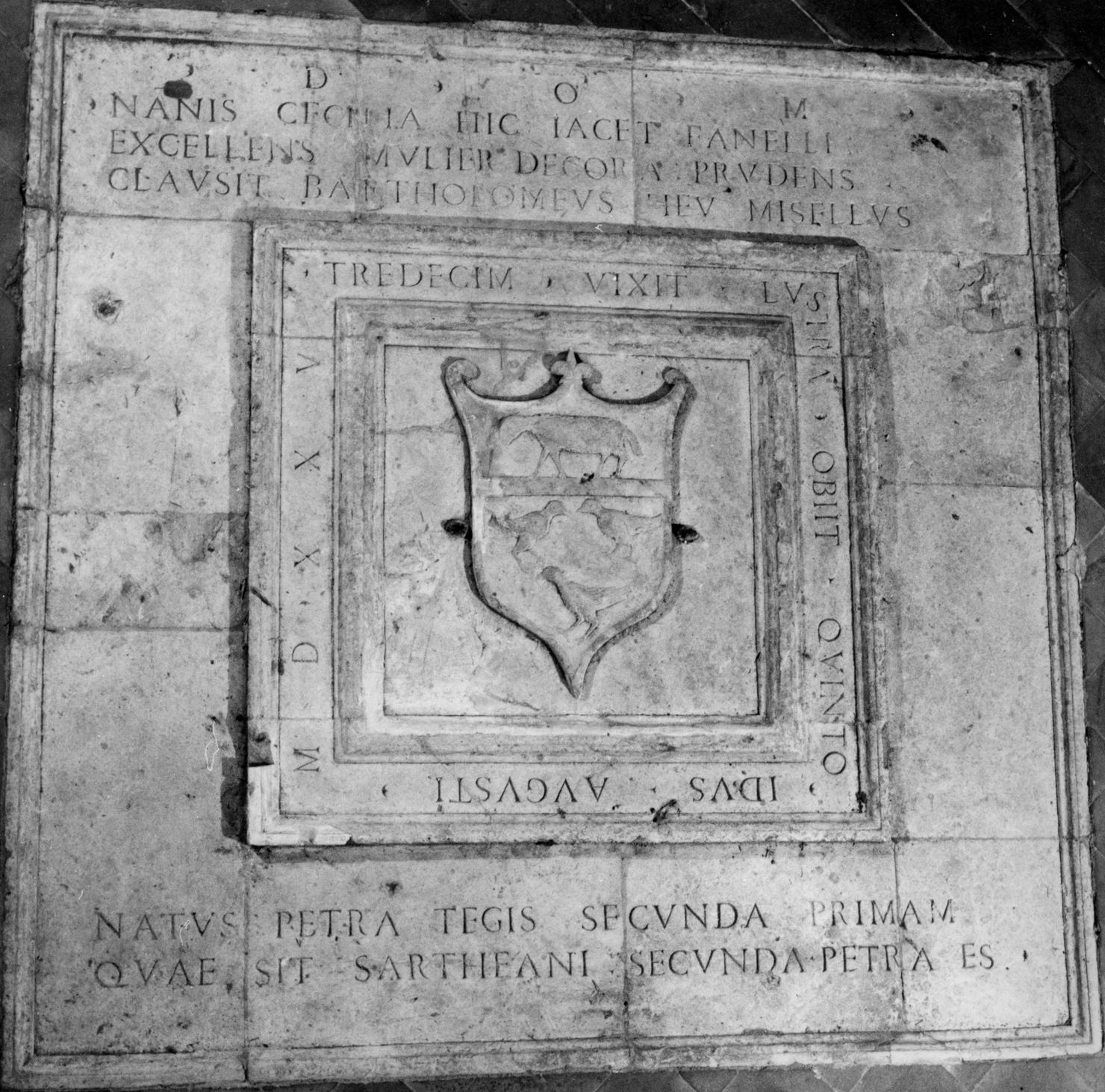 stemma gentilizio della famiglia Fanelli (lapide tombale) - bottega senese (sec. XVI)