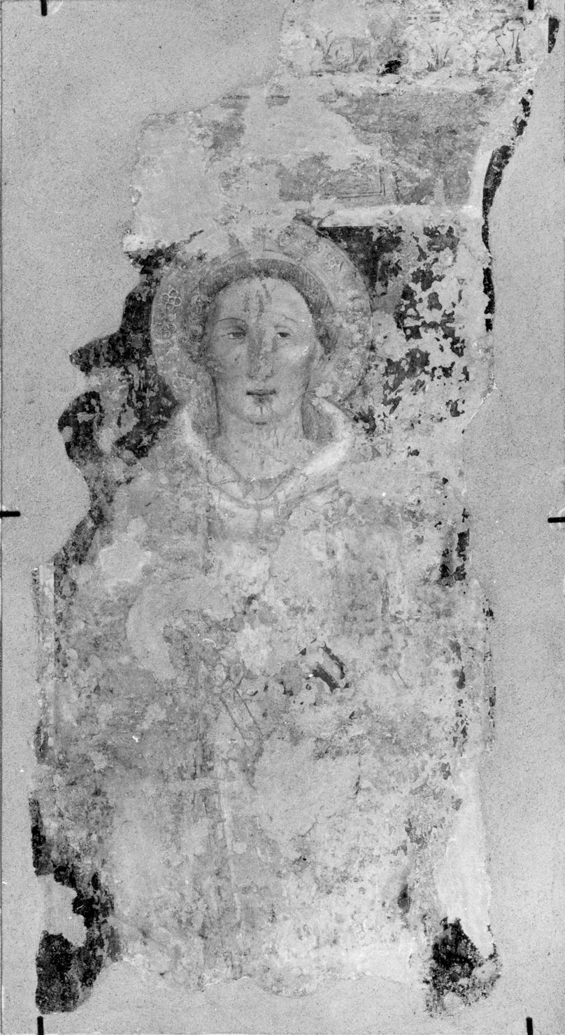 San Romualdo (dipinto, frammento) - ambito umbro (?) (seconda metà sec. XIV)