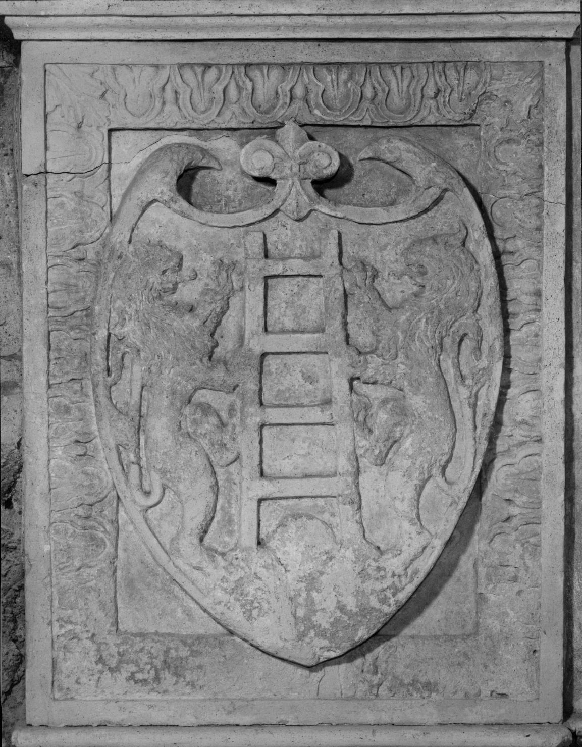 stemma della città di Montepescali (rilievo, elemento d'insieme) di Ghini Antonio di Paolo (maniera) (ultimo quarto sec. XV)