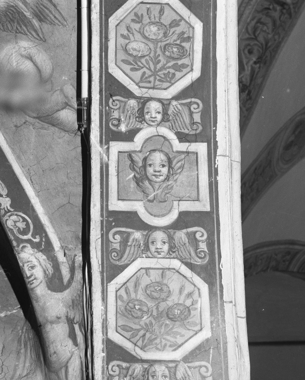 cherubini e motivi decorativi fitomorfi (dipinto, elemento d'insieme) - ambito italiano (prima metà sec. XVII)