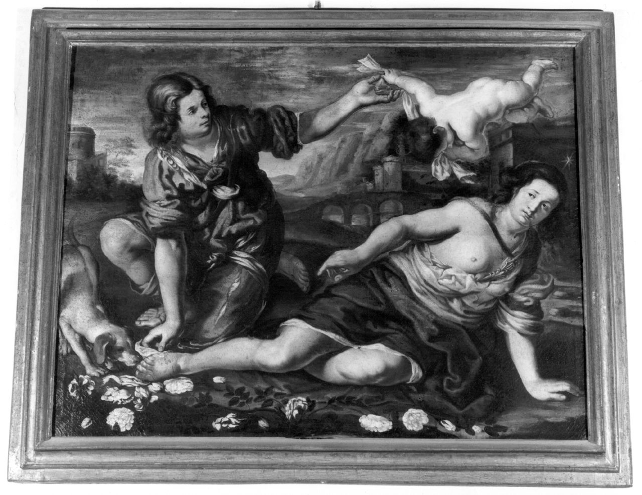Venere ferita dalla spina di una rosa (dipinto) - ambito senese (ultimo quarto sec. XVII)
