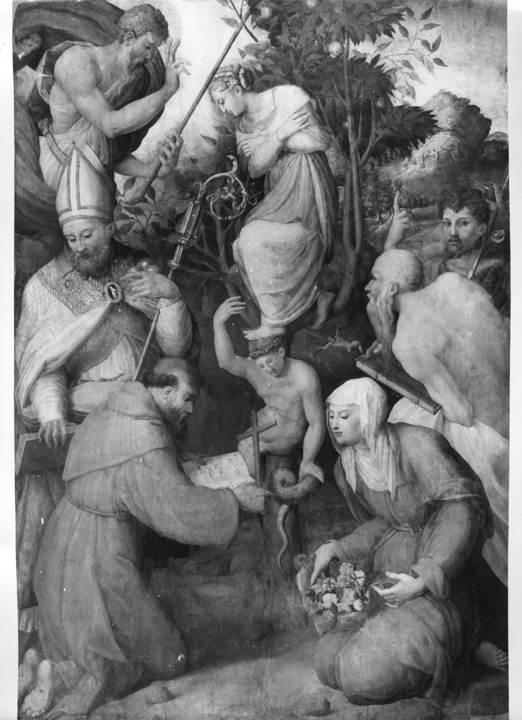 Immacolata Concezione e santi (dipinto) di Lappoli Giovanni Antonio (sec. XVI)
