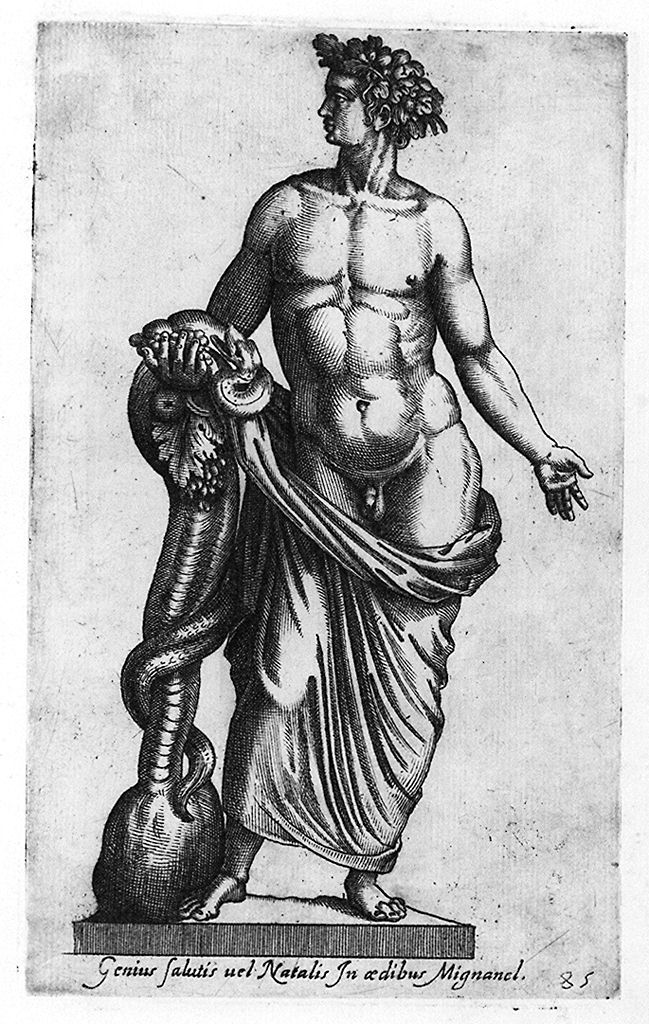 Genio della Salute (stampa, elemento d'insieme) di Cavalleriis Giovanni Battista de' (sec. XVI)