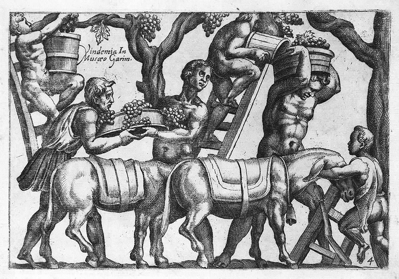 vendemmia (stampa, elemento d'insieme) di Cavalleriis Giovanni Battista de' (sec. XVI)