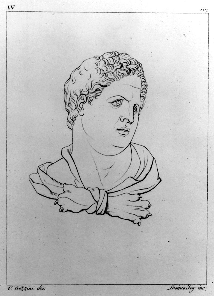 busto di Ercole (stampa, elemento d'insieme) di Lasinio Giovanni Paolo, Gozzini Vincenzo (sec. XIX)