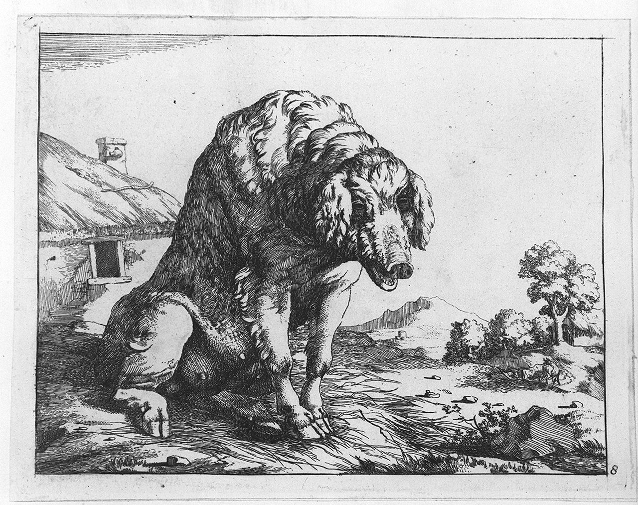 cane seduto (stampa tagliata, elemento d'insieme) di Bye Marcus de, Potter Paulus (sec. XVII)