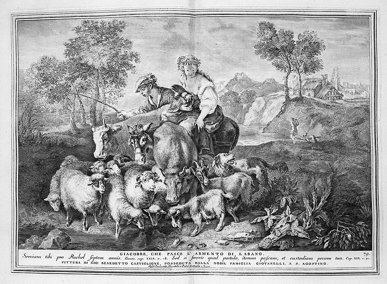 Giacobbe conduce l'armento di Labano al pascolo (stampa, elemento d'insieme) di Monaco Pietro (sec. XVIII, sec. XVIII, sec. XVIII)