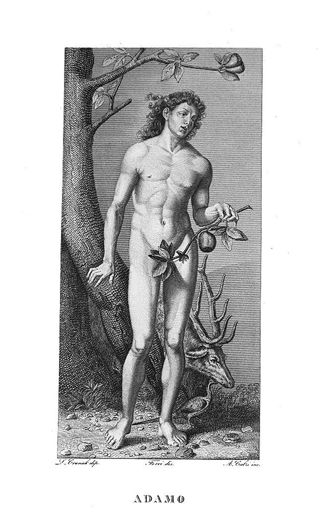 Adamo (stampa, elemento d'insieme) di Calzi Achille, Ferri Antonio (sec. XIX)