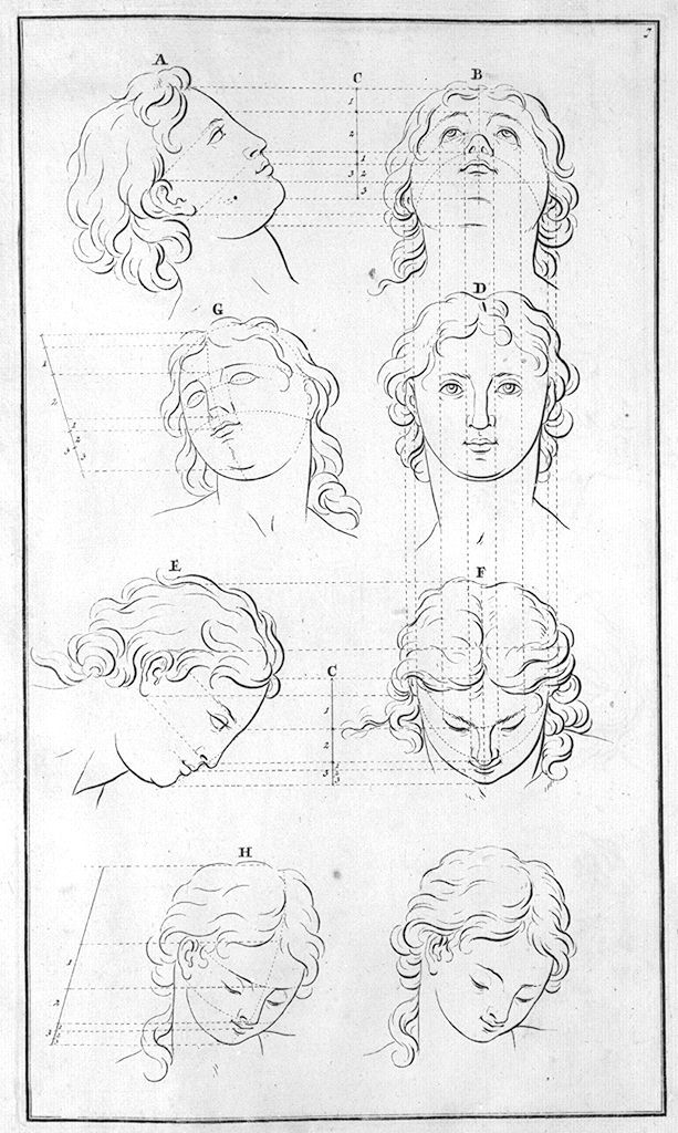 teste maschili e femminili (stampa, elemento d'insieme) di Preissler Johann Daniel (sec. XVIII)