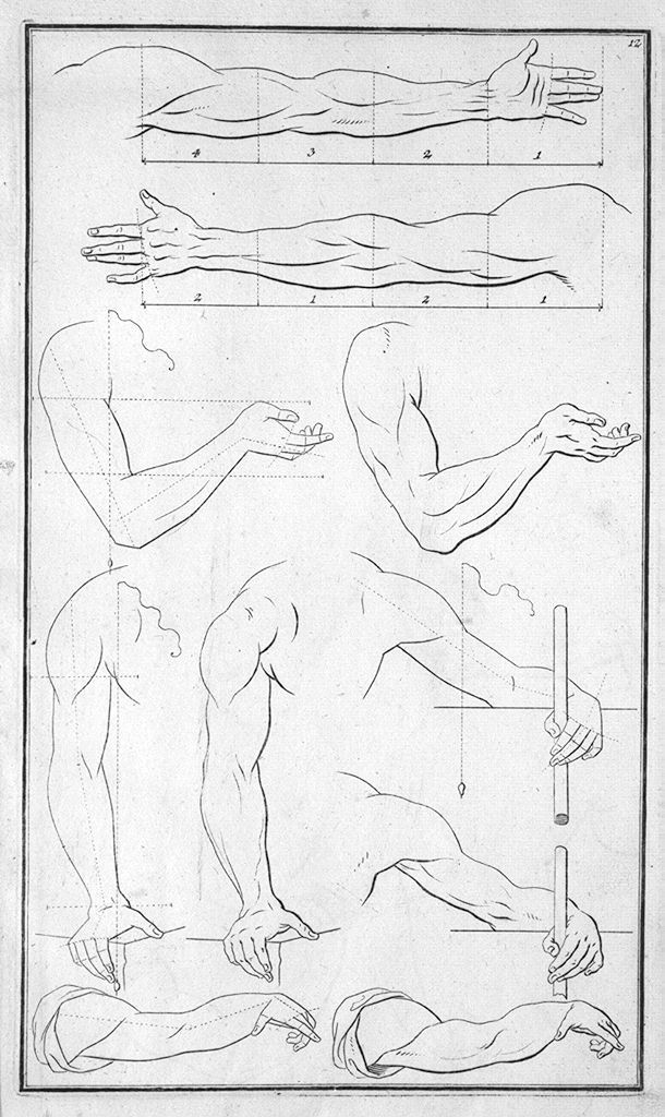 braccia (stampa, elemento d'insieme) di Preissler Johann Daniel (sec. XVIII)