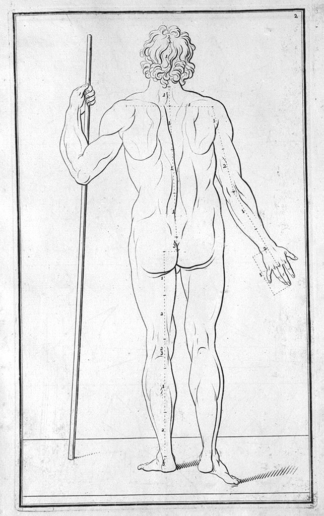 figura maschile nuda di spalle (stampa, elemento d'insieme) di Preissler Johann Daniel (sec. XVIII)