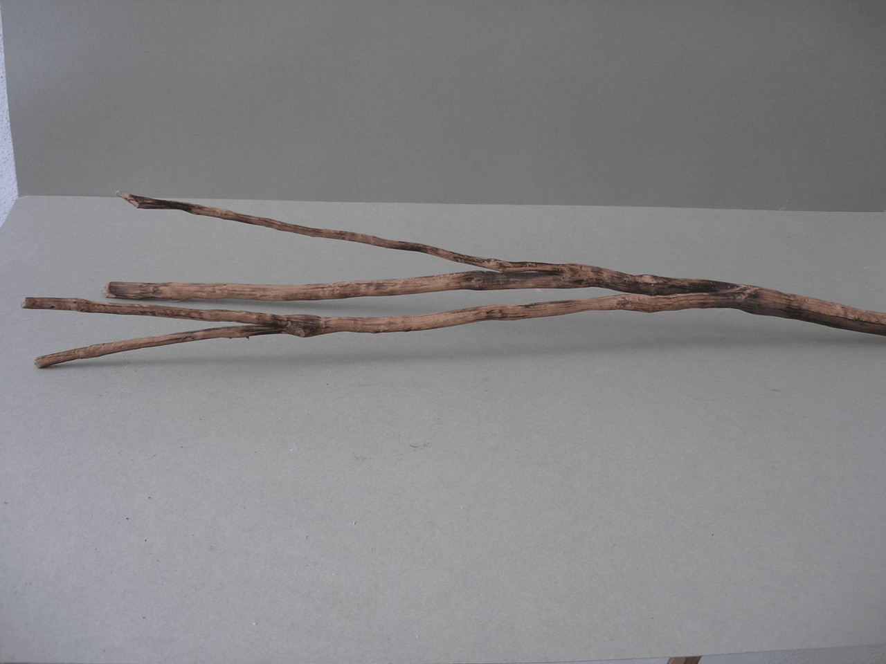 rocca, strumento per filare di Fontani G (pensionato) (sec. XIX prima metà)