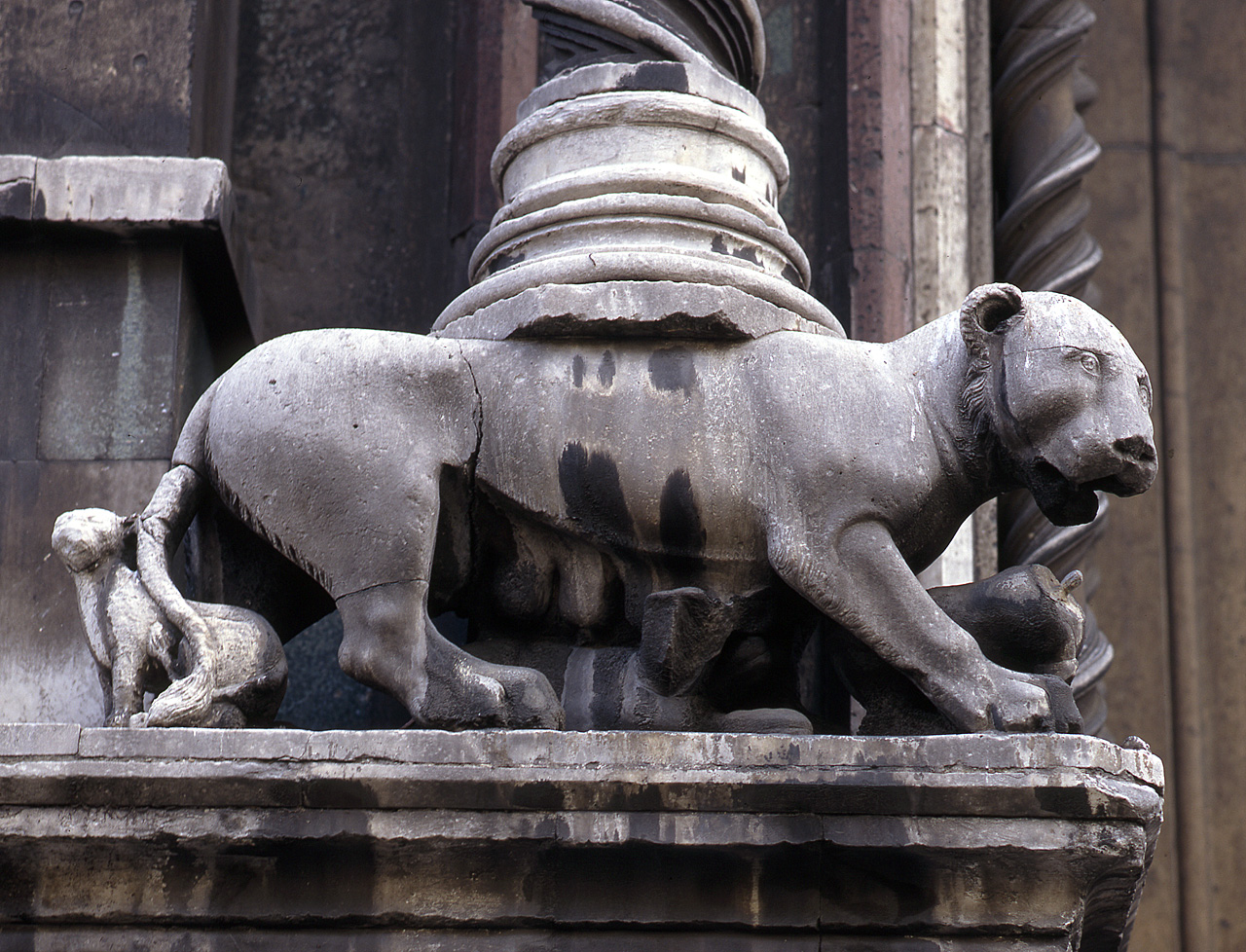leone stiloforo (scultura) - bottega fiorentina (sec. XIV)