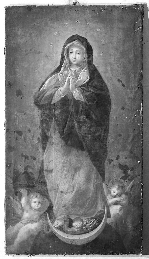 Immacolata Concezione (dipinto) di Conti Francesco (cerchia) (sec. XVIII)