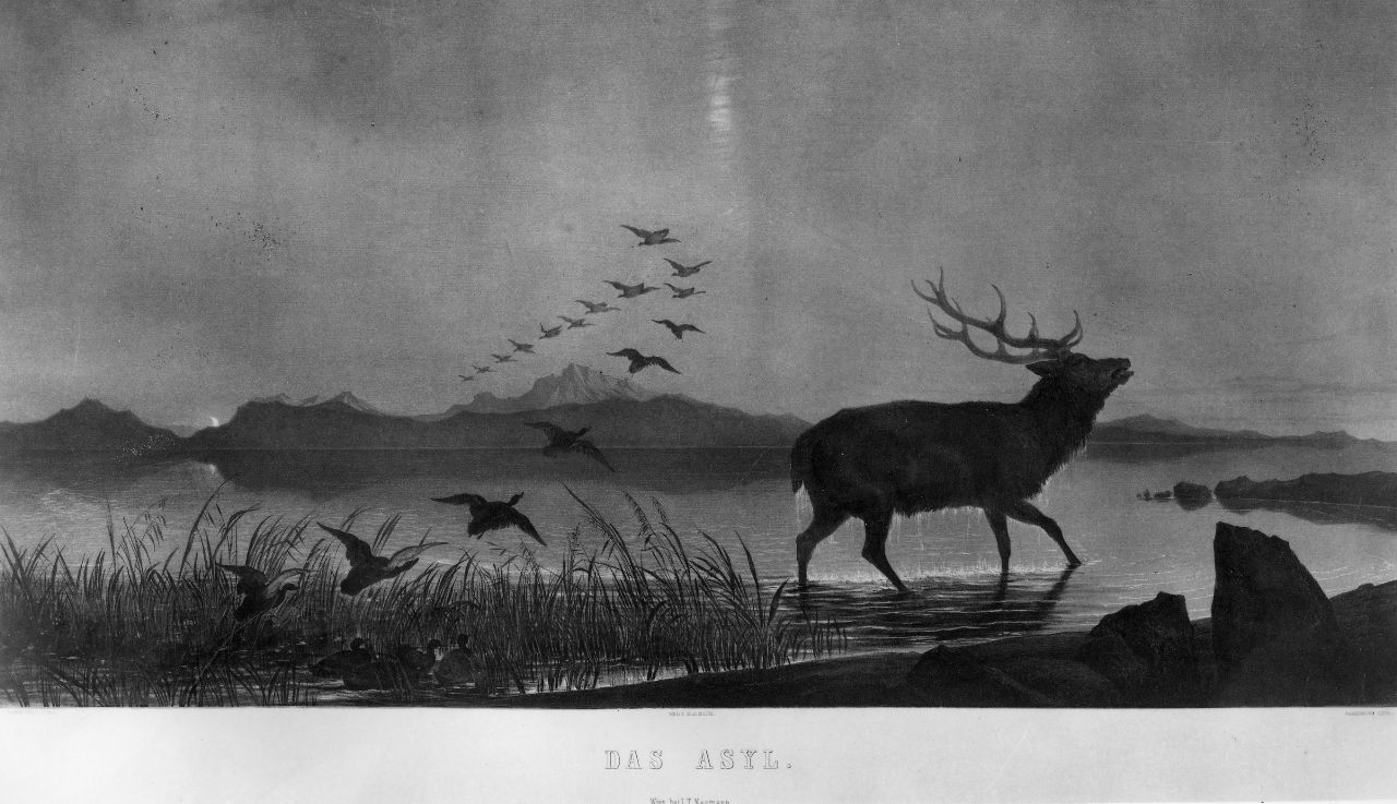 paesaggio lacustre (stampa) di Landseer Edwin, Sandmann Franz Joseph (seconda metà sec. XIX)