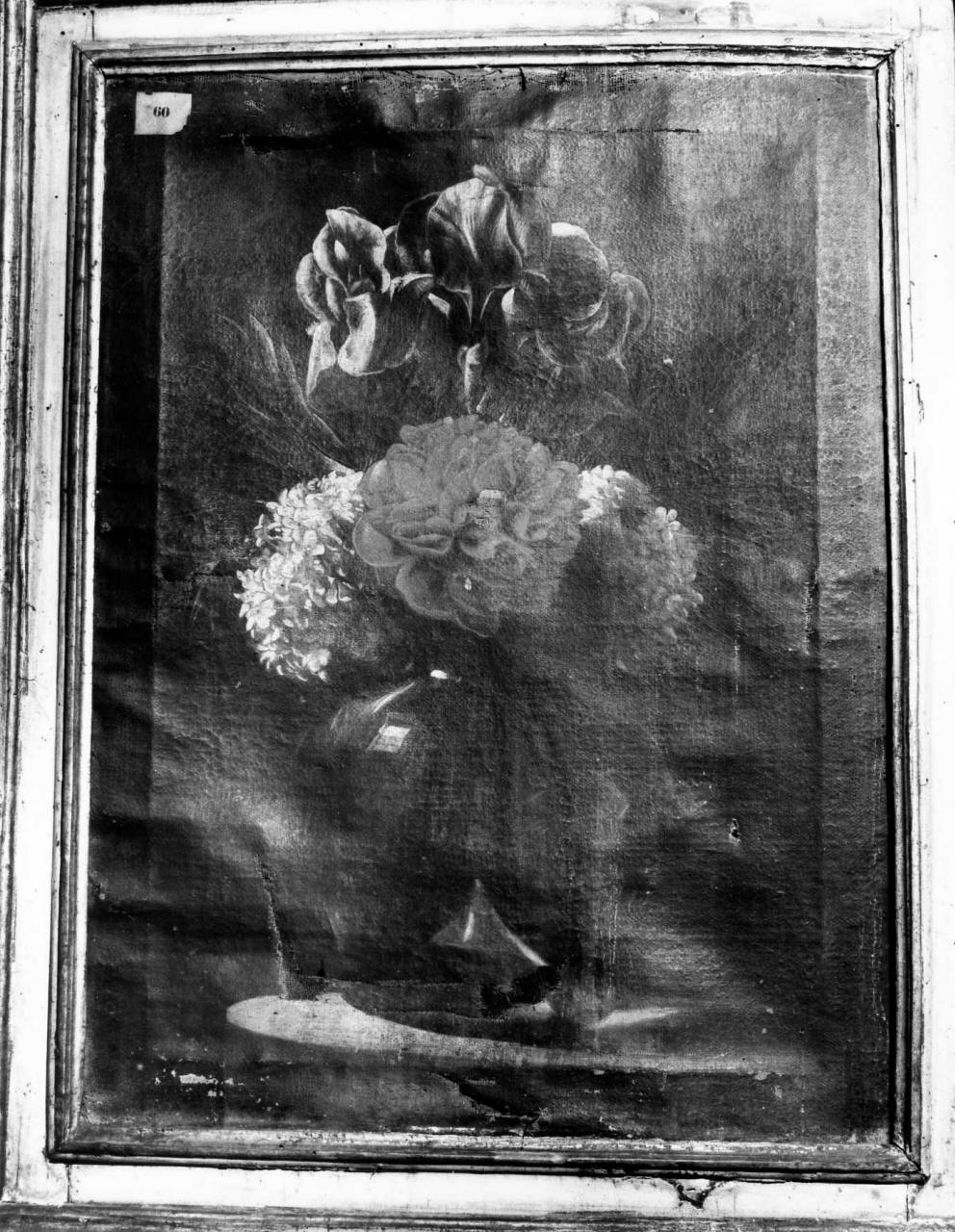vaso con fiori (dipinto) di Bettini Domenico (attribuito) (sec. XVII)