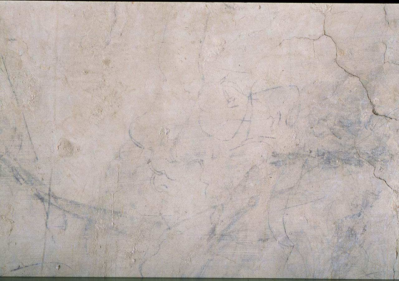 studio anatomico (disegno murale) di Andrea di Michelangelo (sec. XVI)
