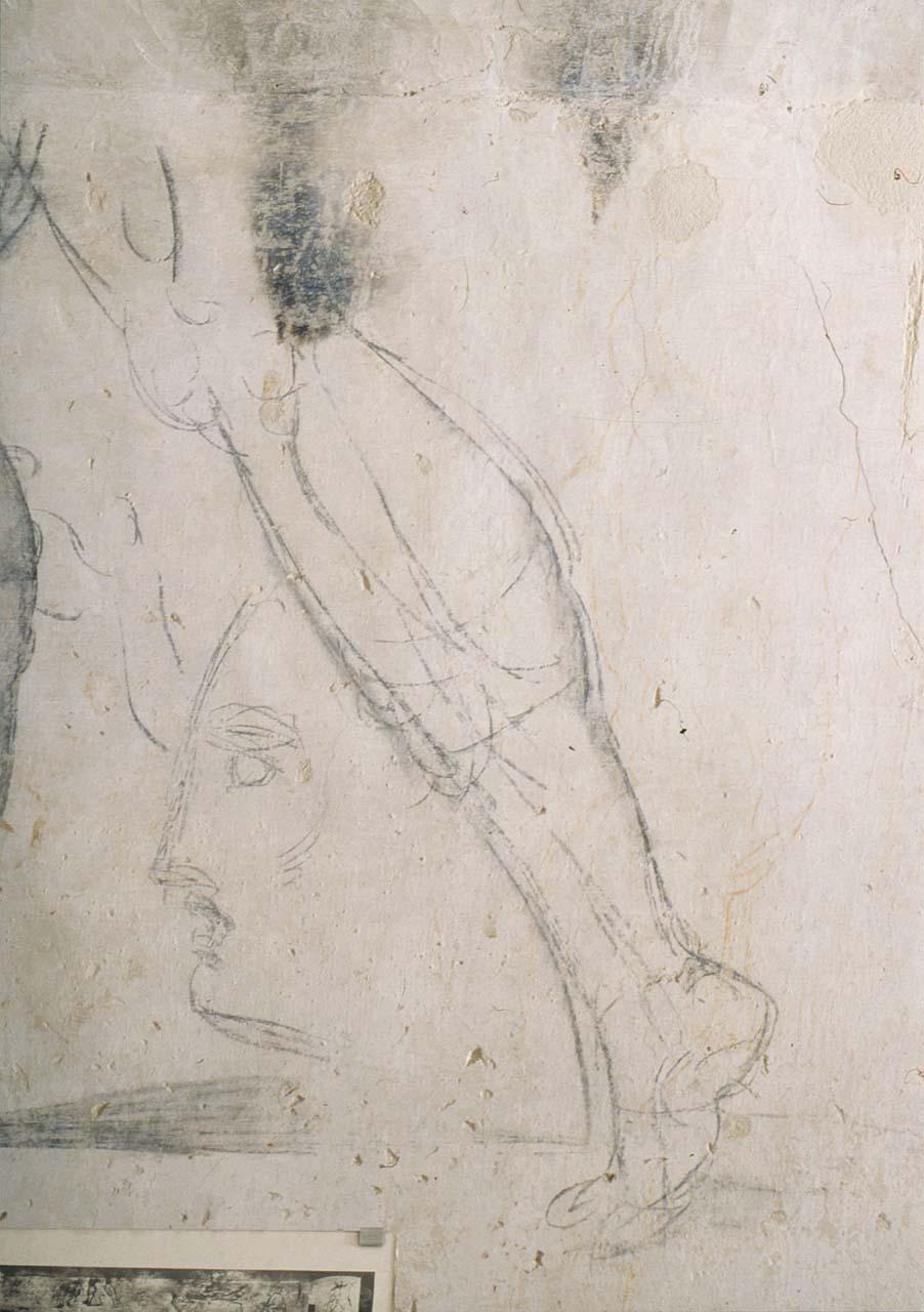 studio anatomico (disegno murale) di Buonarroti Michelangelo (sec. XVI)