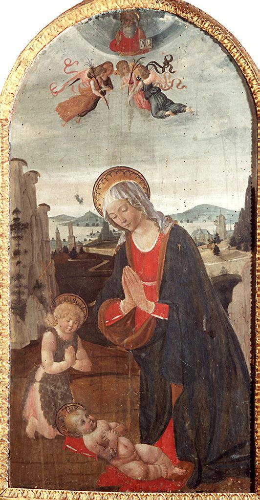 Madonna con Bambino e San Giovannino (dipinto) di Gherardo di Giovanni detto Gherardo del Fora (attribuito) (sec. XV)