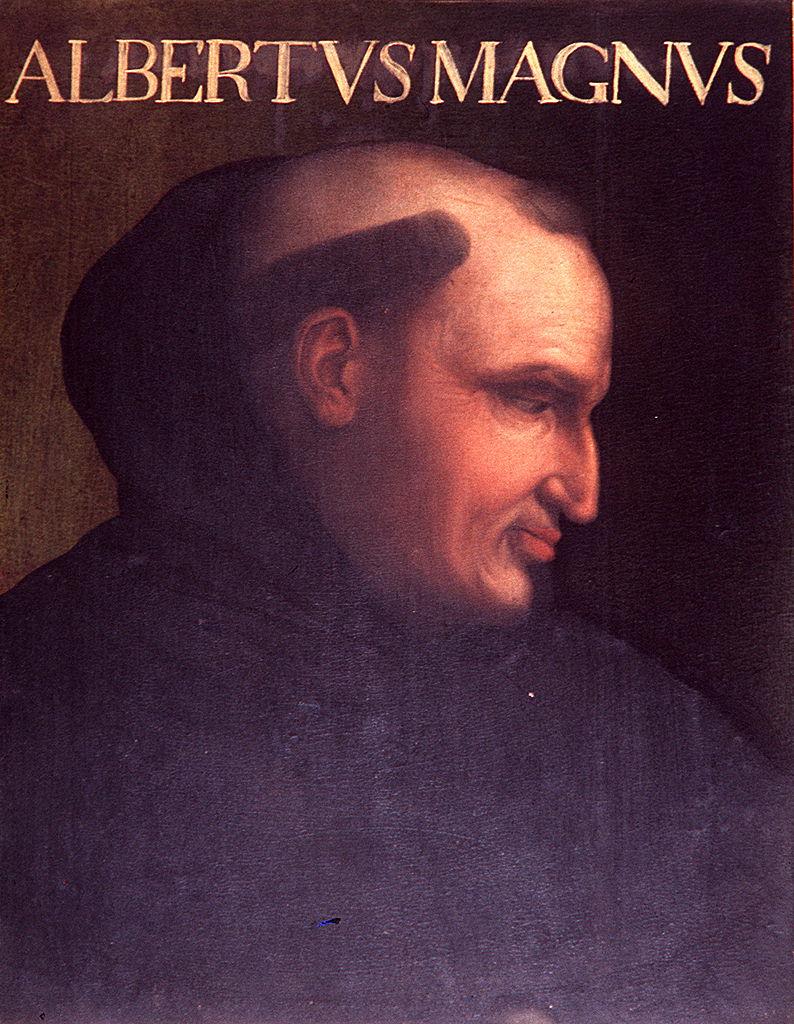 ritratto di Sant'Alberto Magno (dipinto) di Dell'Altissimo Cristofano (sec. XVI)