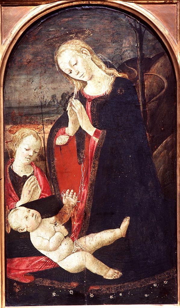 Madonna in adorazione di Gesù Bambino (dipinto) di Cioni Andrea detto Verrocchio (bottega) (sec. XV)