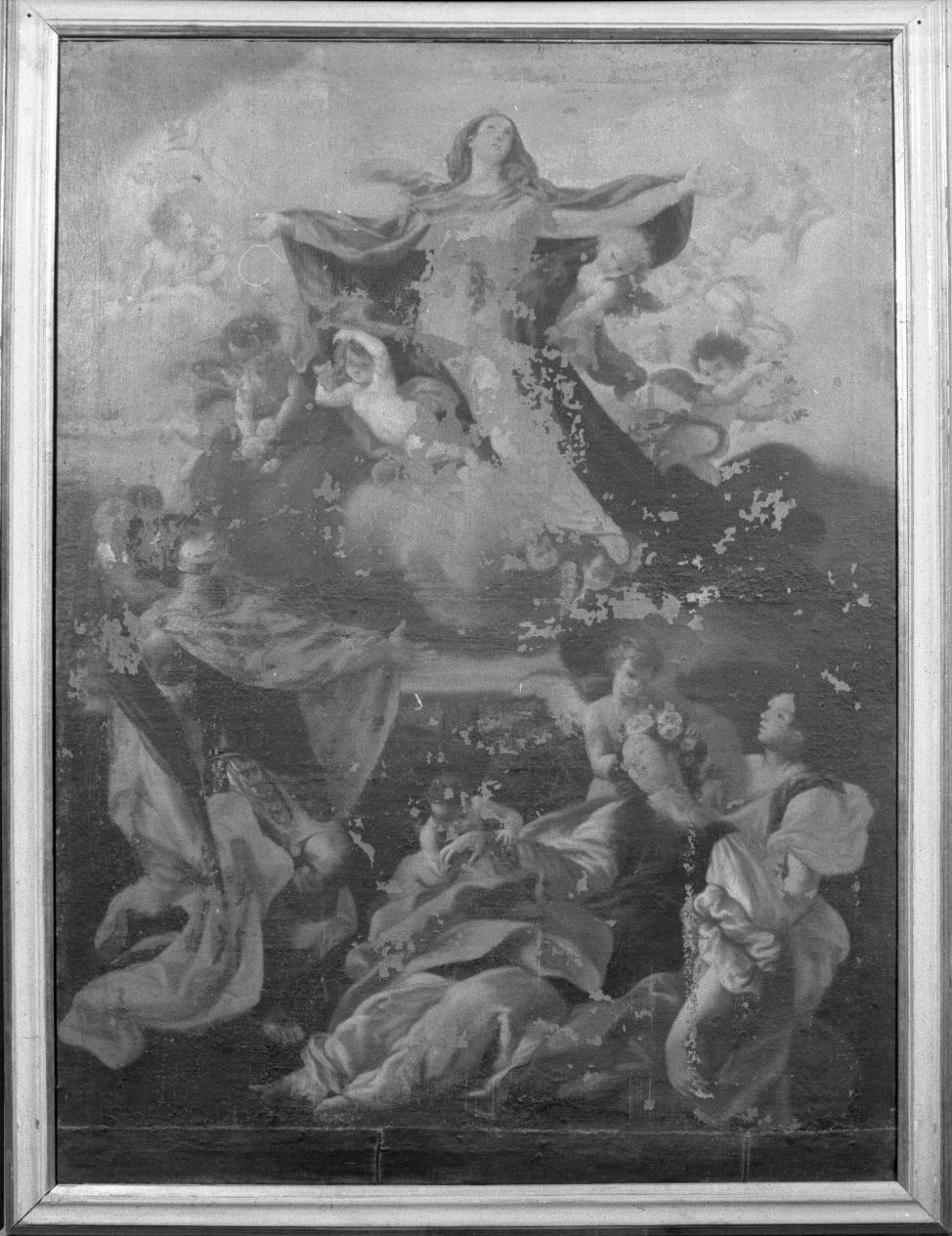 Madonna Assunta con San Terenzio e Santa Mustiola (dipinto) - ambito senese (prima metà sec. XVIII)