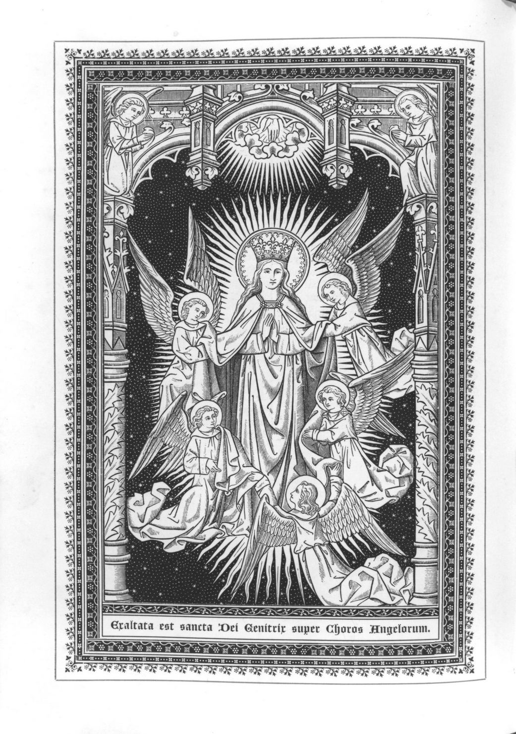 assunzione della Madonna (stampa a colori, elemento d'insieme) - ambito fiammingo (fine/inizio secc. XIX/ XX)