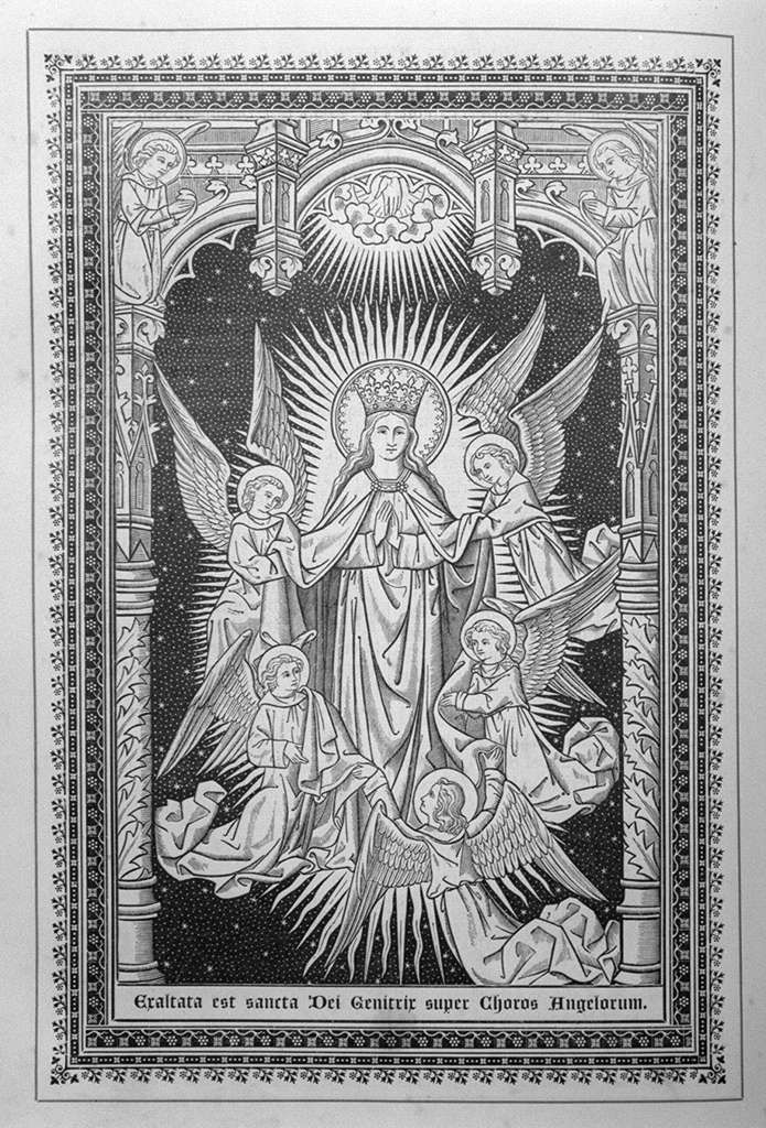 Exaltata est sancta Dei Genitrix.., assunzione della Madonna (stampa, elemento d'insieme) - ambito italiano (sec. XX)