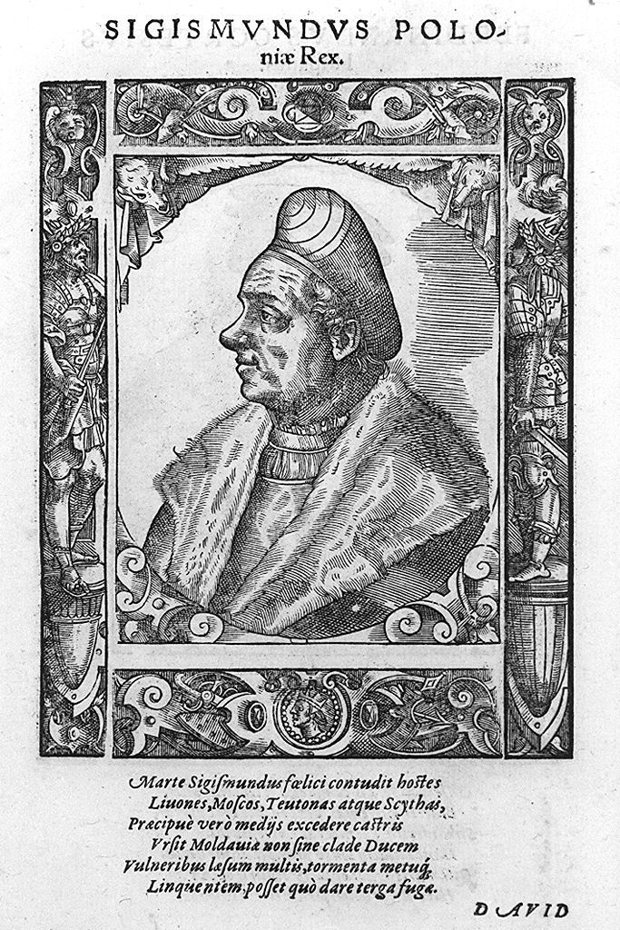 busto ritratto di Sigismondo I il Vecchio di Polonia (stampa, stampa composita) di Stimmer Tobias (sec. XVI, sec. XVI)