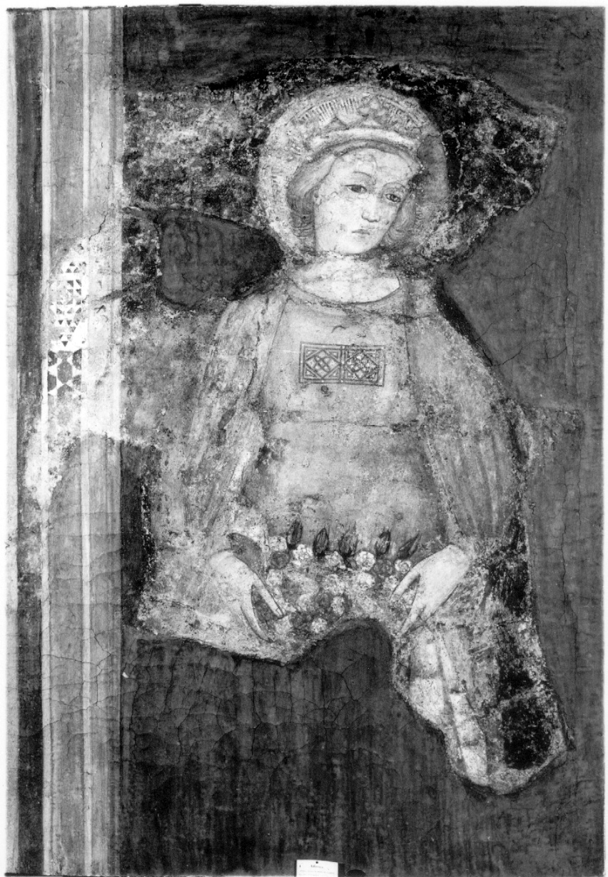 Santa Dorotea (dipinto, opera isolata) - ambito umbro (seconda metà sec. XV)