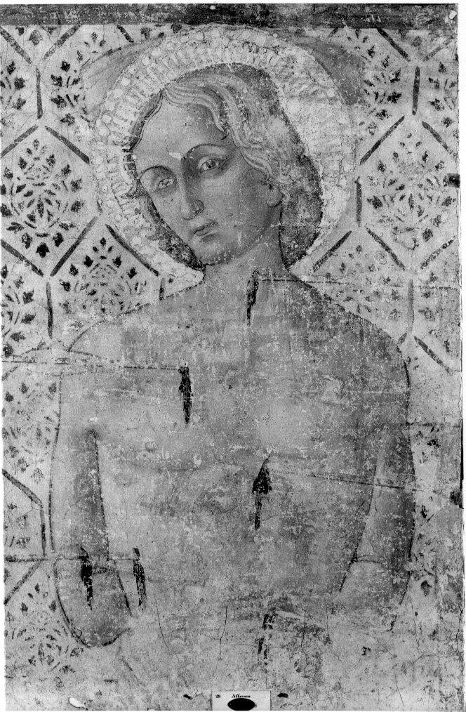 San Sebastiano martire (dipinto, opera isolata) - ambito umbro (metà sec. XV)