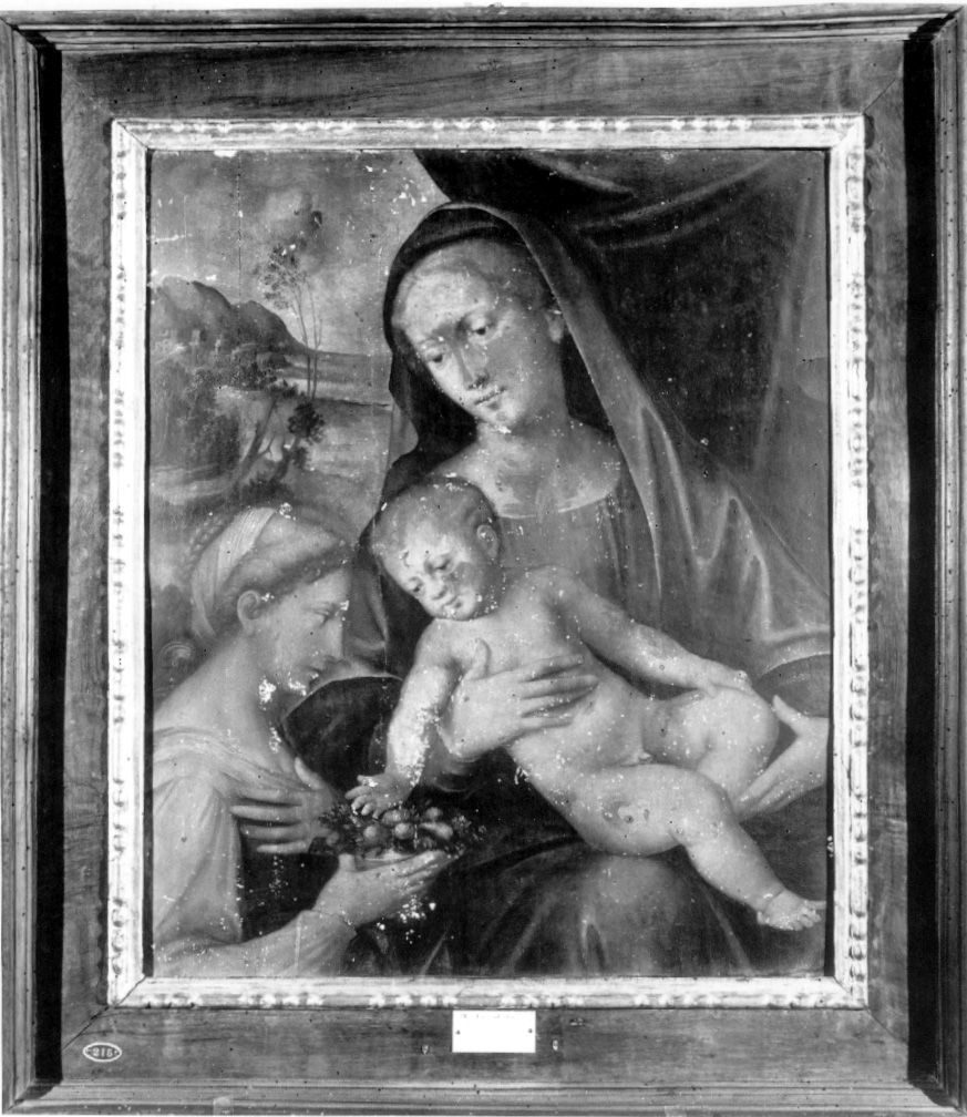 Madonna con Bambino e Santa Caterina d'Alessandria (dipinto, opera isolata) - ambito emiliano (prima metà sec. XVI)