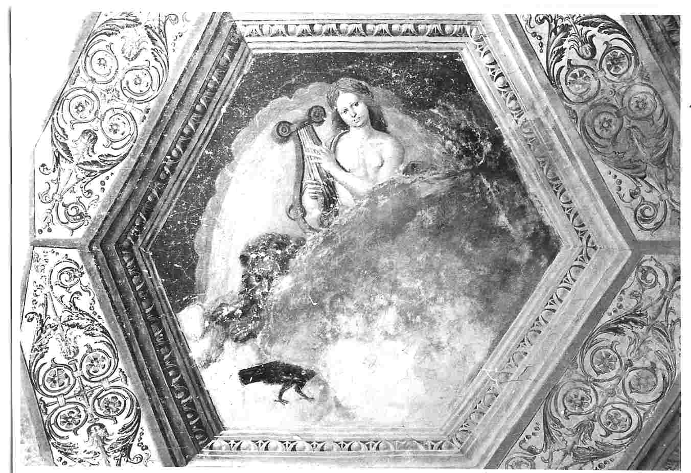 Apollo (dipinto, elemento d'insieme) di Filotesio Nicola detto Cola dell'Amatrice (attribuito) (sec. XVI)