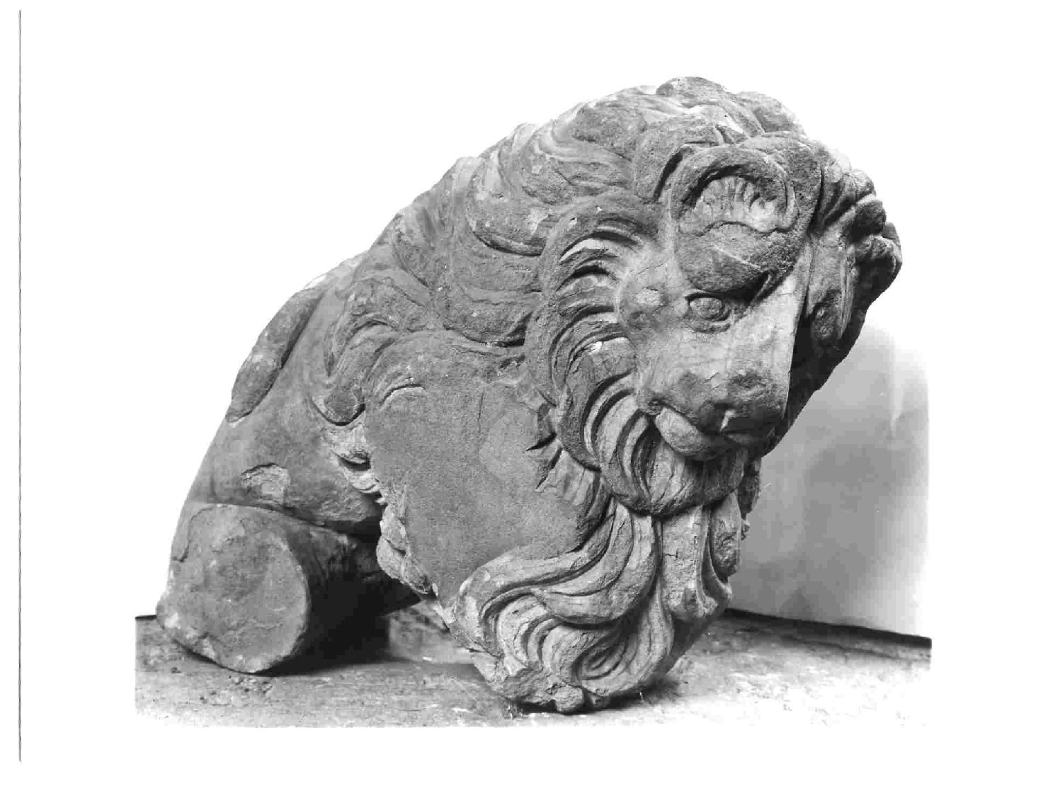 leone (scultura, opera isolata) - bottega Italia centrale (sec. XIV)