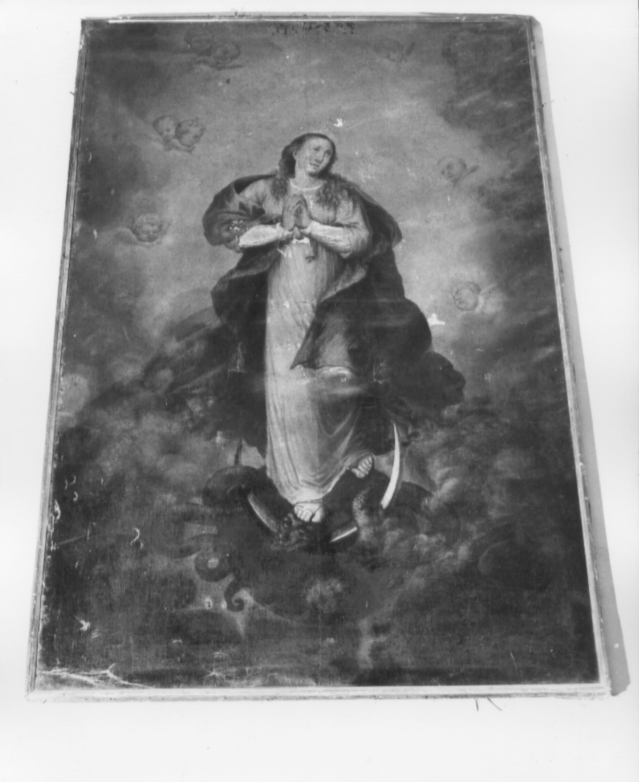 Immacolata Concezione (dipinto, opera isolata) - bottega Italia centrale (metà sec. XVII)