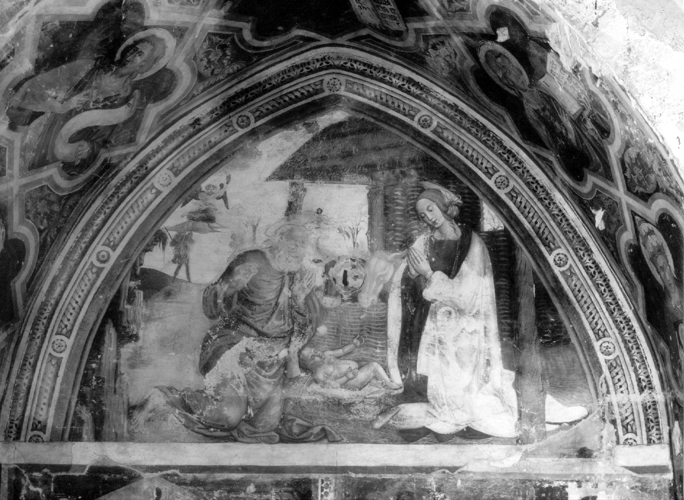 natività di Gesù (dipinto, complesso decorativo) - ambito umbro (inizio sec. XVI)