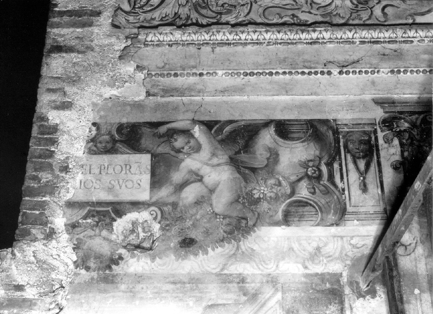 angeli reggitarga (dipinto, complesso decorativo) - ambito umbro-laziale (sec. XVI)
