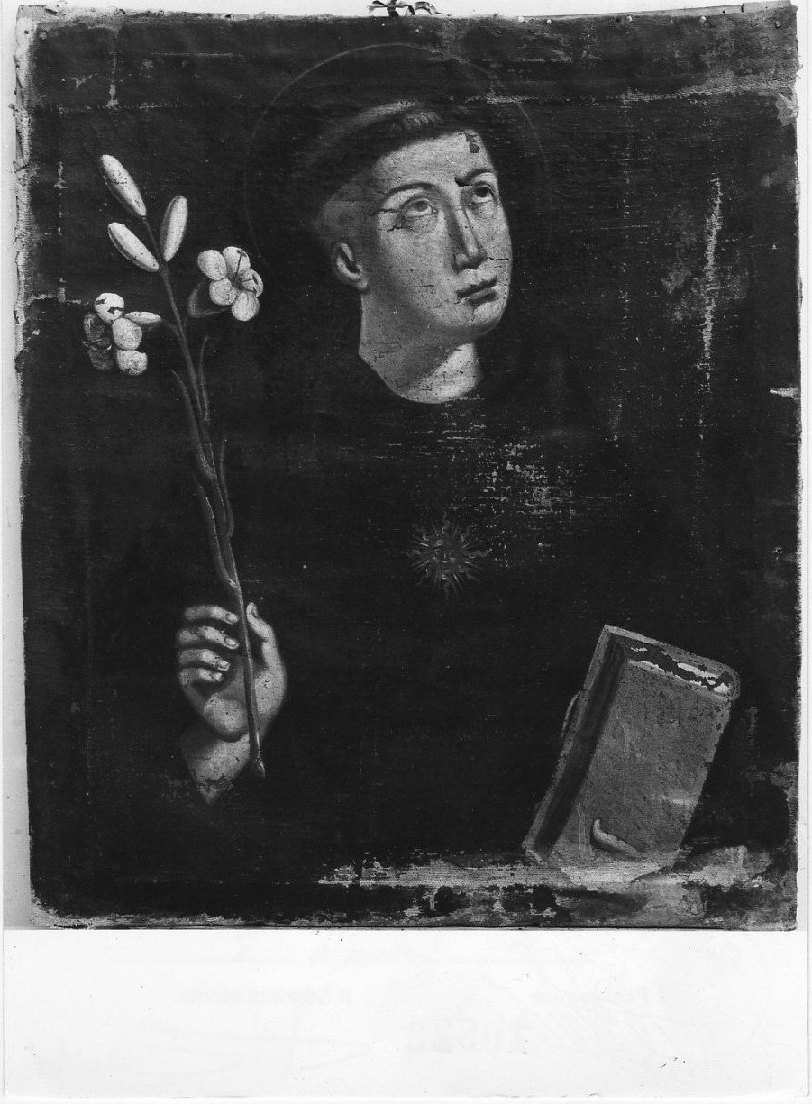 San Nicola da Tolentino (dipinto, opera isolata) - ambito Italia centrale (sec. XVIII)