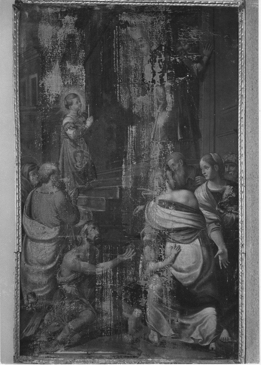 presentazione di Maria Vergine al tempio (dipinto, opera isolata) - ambito Italia centrale (seconda metà sec. XVI)