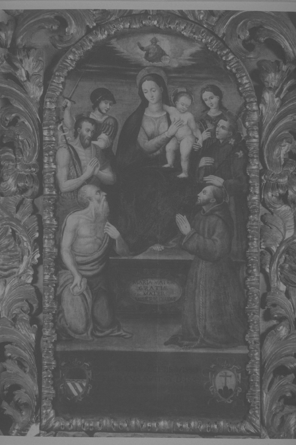 Madonna con Bambino e Santi (dipinto, elemento d'insieme) di Carducci Agostino (sec. XVI)